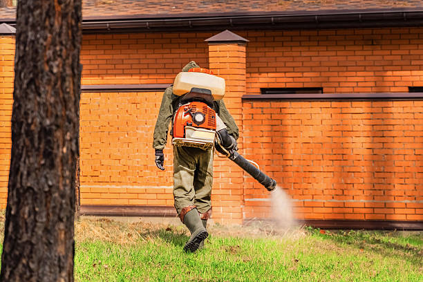 Trusted Cockroach Control service in Southside, AL - Nex Pest Control